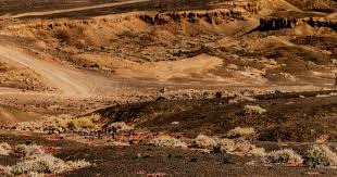 马克西空砍28+7+9，恩比德表现不佳，76人不敌湖人