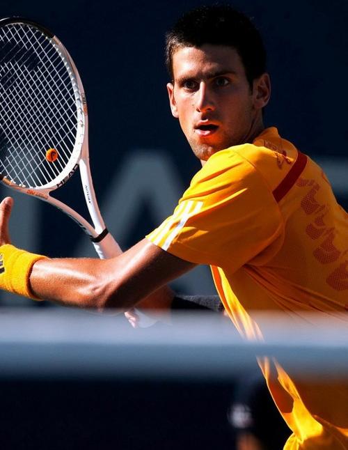 进季后赛再 进季后赛再