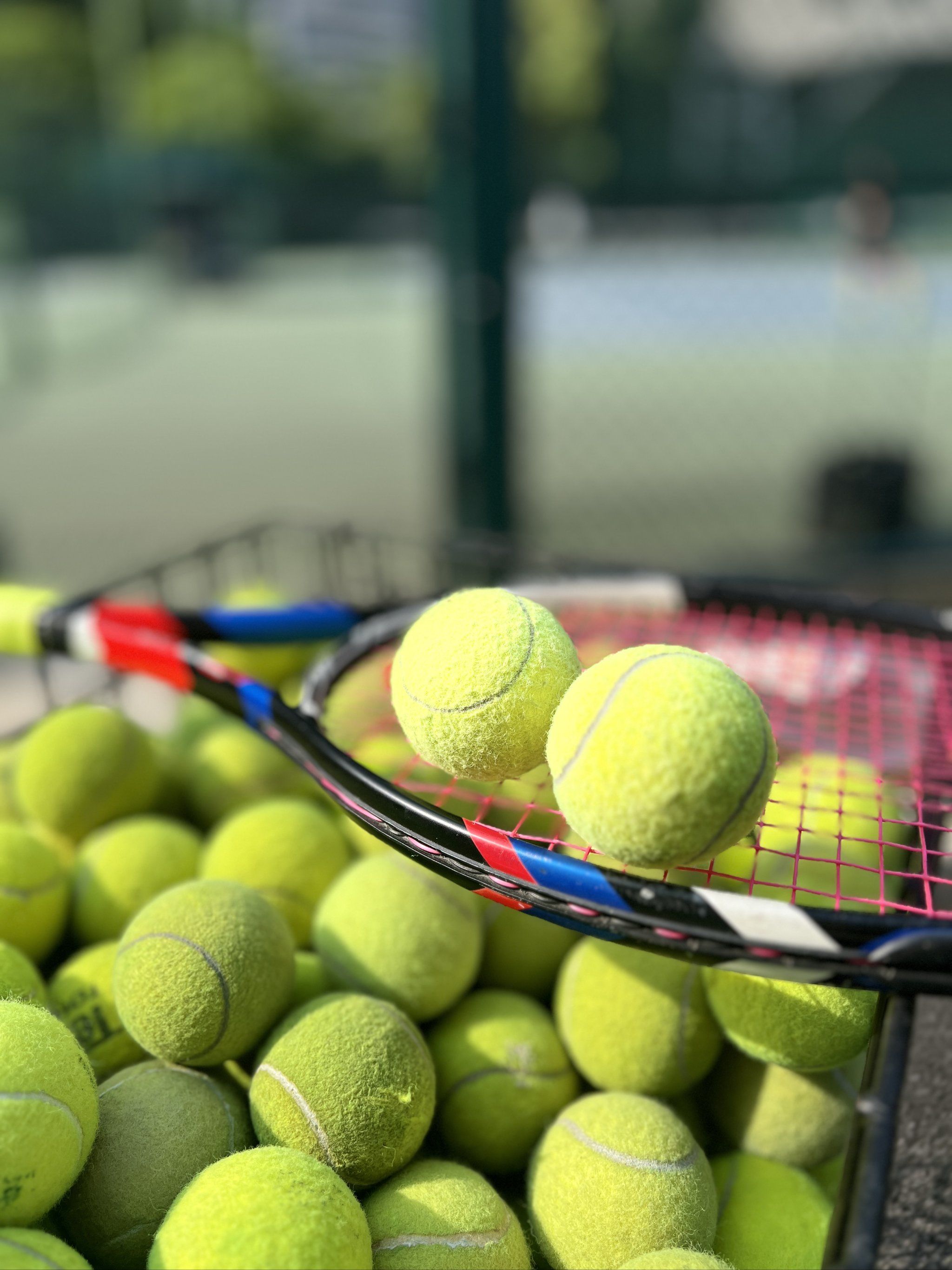 无障碍设施 无障碍设施